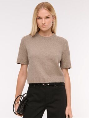 Abercrombie & Fitch Short Sleeve Crewneck Sweater in Taupe